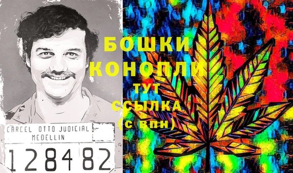 дурь Алзамай