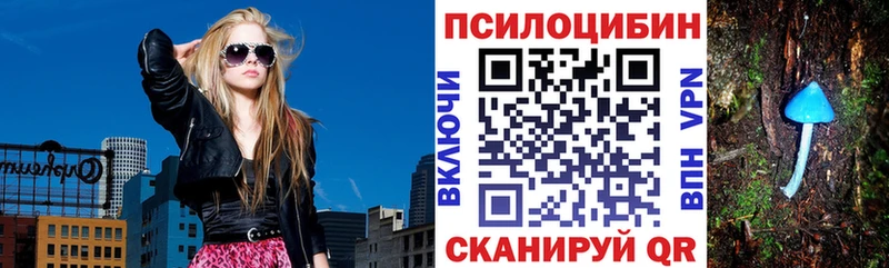 наркота  Луга  Псилоцибиновые грибы мицелий 