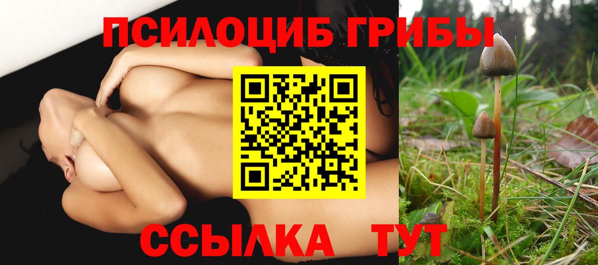 Галлюциногенные грибы прущие грибы Луга