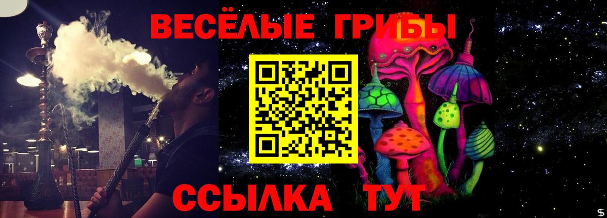 Луга  Галлюциногенные грибы прущие грибы  Вход с VPN 